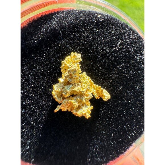 California Native Gold Crystal - 0.39 grams - Picture 3 of 6